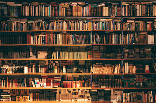 Times International School Library